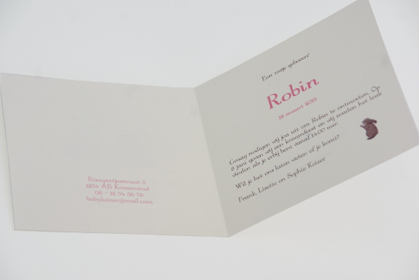 geboortekaartje robin lichtroze